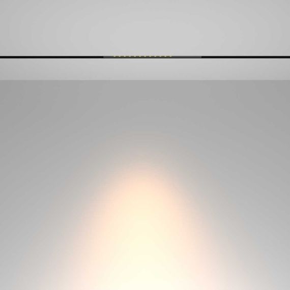 Трековый светильник Maytoni Technical TR232-2-10W3K-B