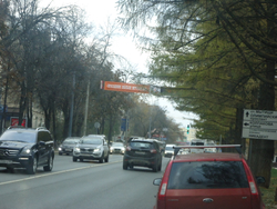 Праздник Белых Журавлей