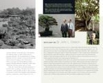 Bonsai and Penjing: Ambassadors of Peace & Beauty