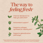 Nature's Way, Chlorofresh®, жидкий хлорофилл, мята, 480 мл (16 жидк. унций)