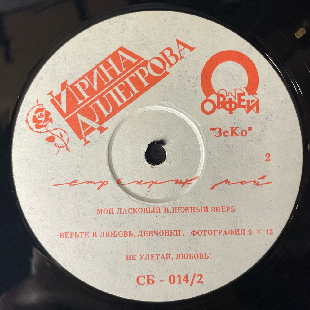Винтажная виниловая пластинка LP Ирина Аллегрова Странник Мой (Россия 1992)