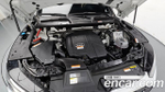 Audi Q5 45 TFSI Quattro Premium — 2024
