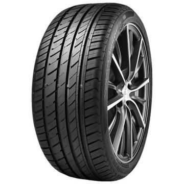 Minerva F209 225/55 R16 99W