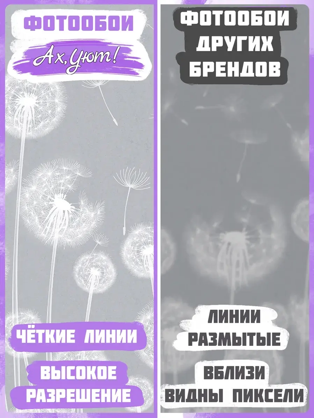 Фотообои белые одуванчики на сером фоне