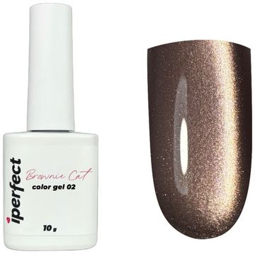 Brownie cat color gel 10g 02 Iperfect