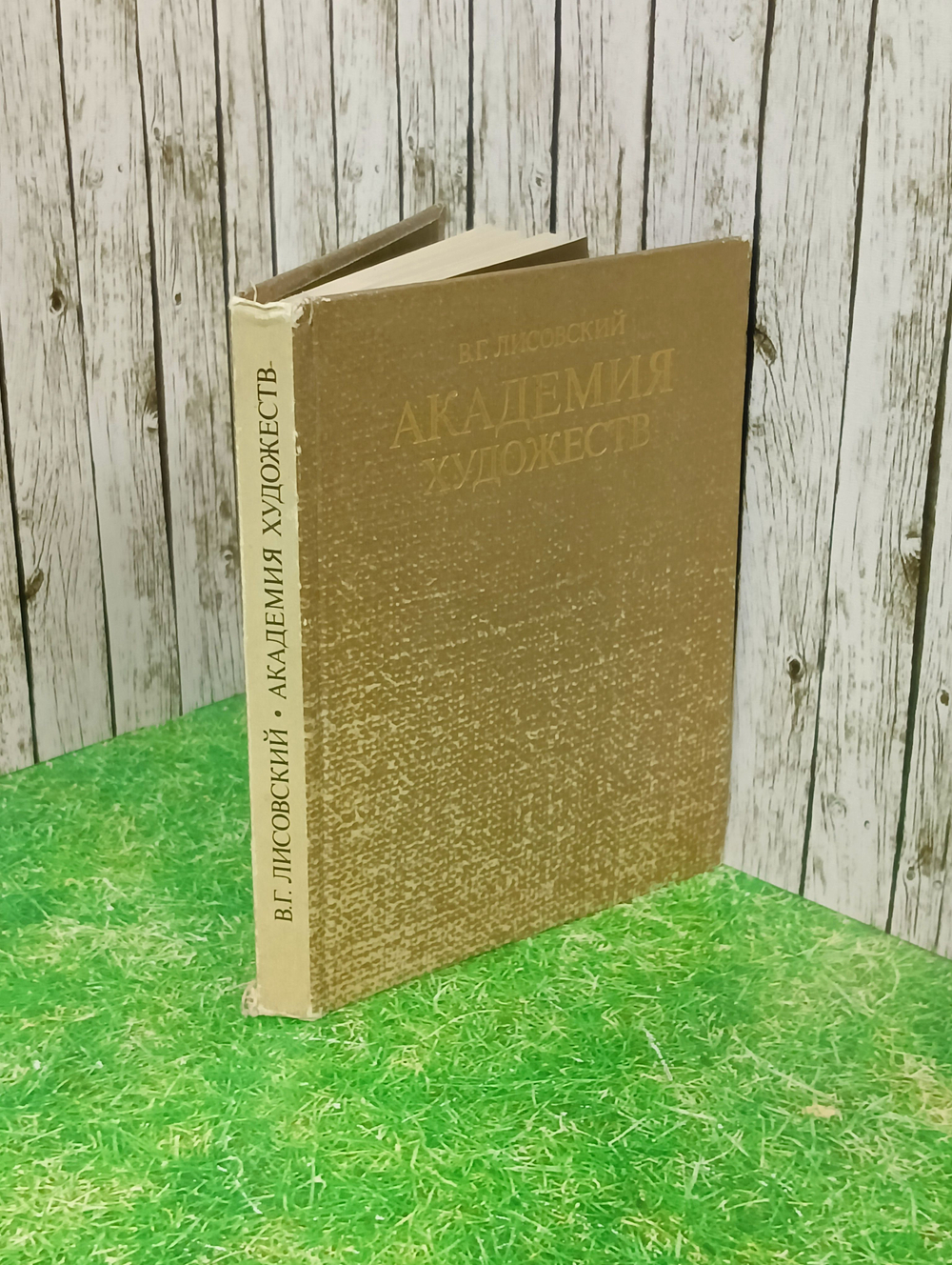 Книга "Академия художеств"