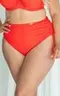 CORAL Briefshighwaist Трусы купальные