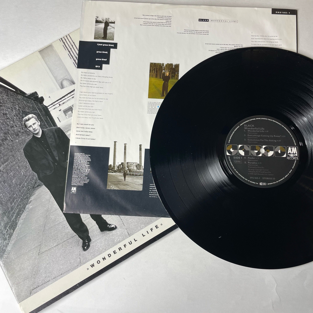 Винтажная виниловая пластинка LP Black Wonderful Life (Германия 1987)
