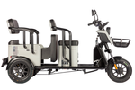 Электротрицикл Wanshida LC300 (1000Вт, 60B)