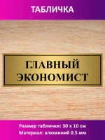 Табличка "Главный экономист".