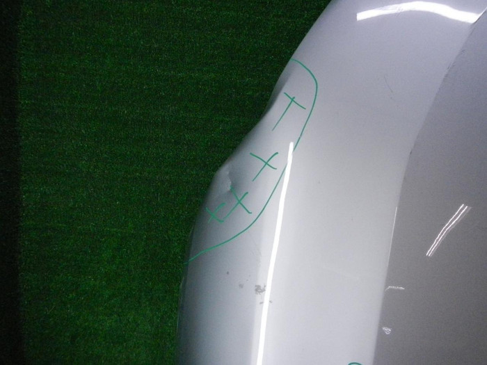 DSCN0655.JPG