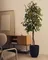 Ficus Искусственное дерево фикус в черном горшке 180 см
