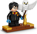 Конструктор LEGO 75979 Букля