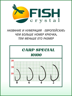 Крючок рыболовный Carp Special 10100 №8