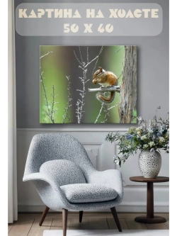 Картина на стену 40 X 50 Белка
