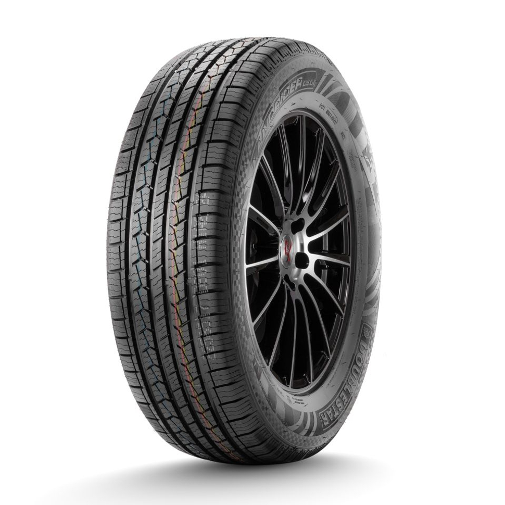 Легковая шина ДаблСтар  215/70/16  T 100 DS01