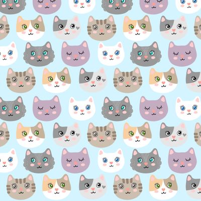 Котики на голубом фоне