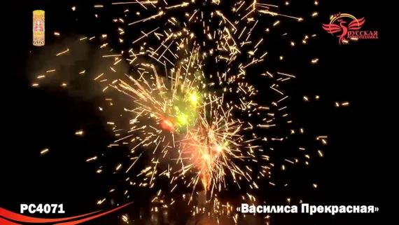 Василиса-прекрасная 30 сек 4 метра РС4071