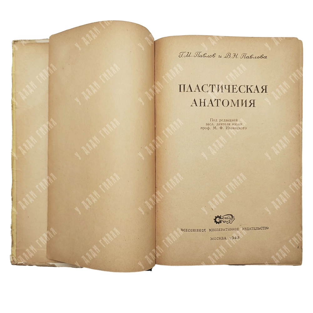 Павлов, Г. М., Павлова, В. Н. «Пластическая анатомия. М. КОИЗ, 1949.