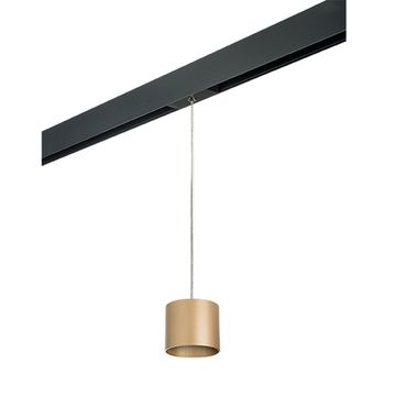 Комплект со светильником 1*GХ53 220V PRORP3490 золото Rullo Pro Lightstar