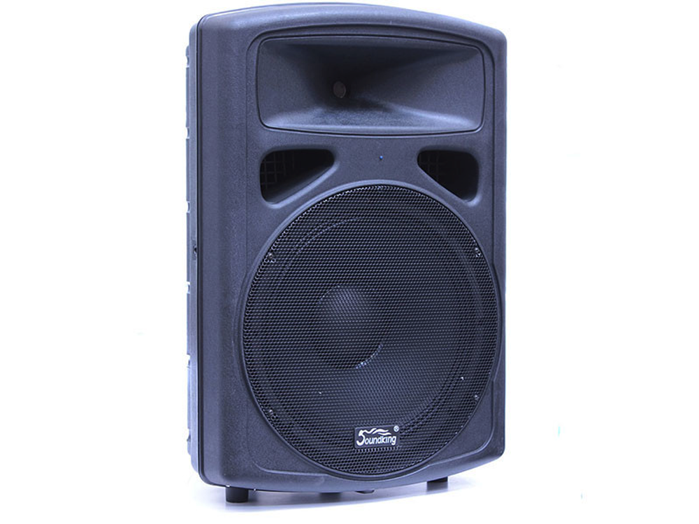 Soundking FP0215
