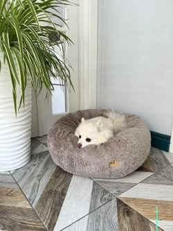 Лежанка для кошек лежак для собак домик