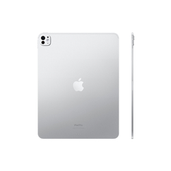 iPad Pro 11 1 ТБ WiFi + Cellular (M4, 2024)