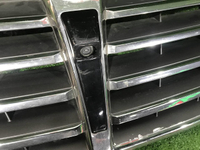 Решетка радиатора Hyundai Equus 2 (2013-2016)