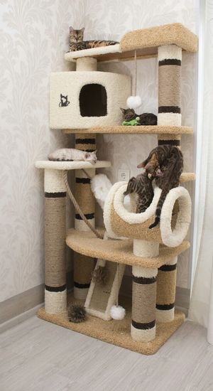 Дом для кота И-18