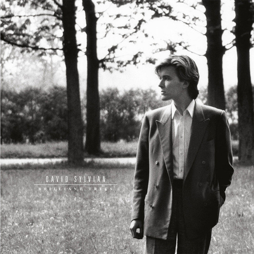 David Sylvian - Brilliant Trees - Corona Olive Opaque Black LP
