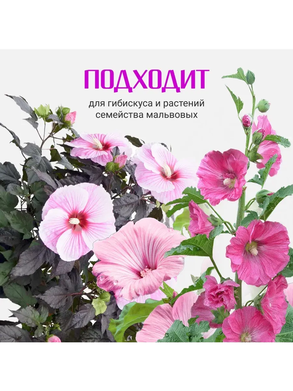 Органический грунт для гибискуса (китайская роза) 2,5л