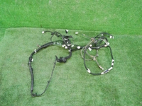 DSCN7608.JPG
