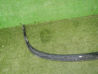 DSCN6808.jpg