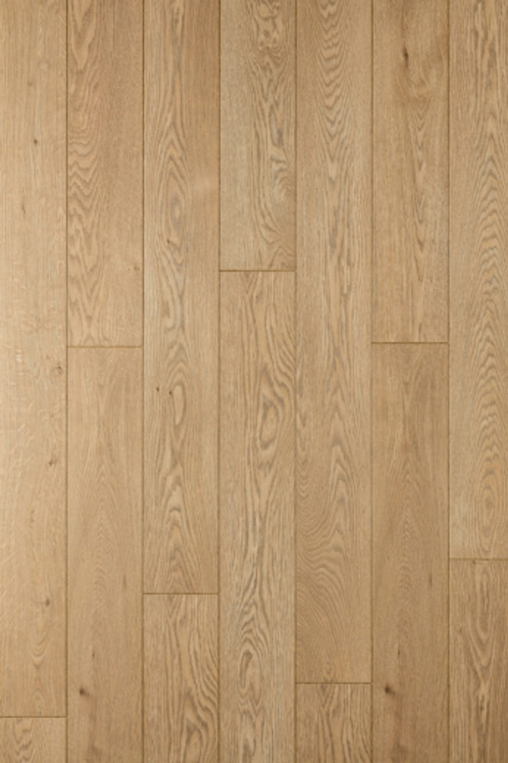 Ламинат Clixfloor Charm 12 мм CXC161-2 ДУБ ВАНИЛЬ 1.342 м2