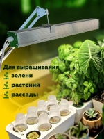 Система выращивания Салатная Максимум АГРОЛО с профессиональной фитолампой, Настольная садовая ферма, Гидропоника