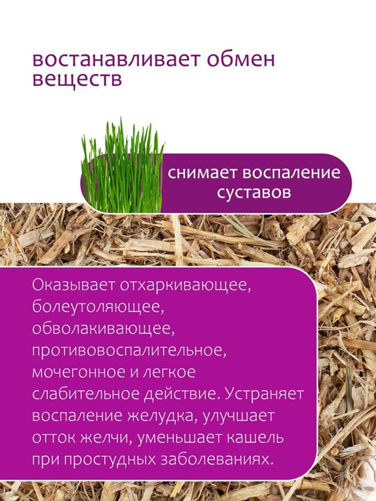 Пырей