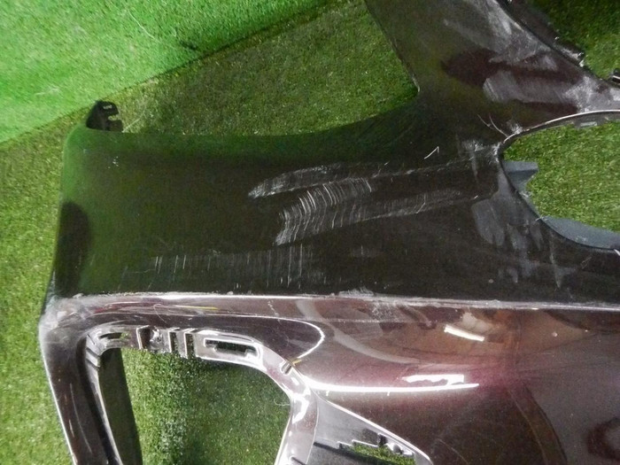 DSCN3929.jpg