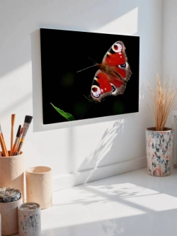 Картина на стену 40 X 50 Бабочка