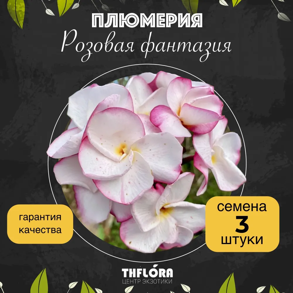 Плюмерия "Розовая фантазия" — семена, 3 шт.