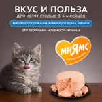 Влажный корм для котят старше 3 месяцев Деликатес Фондан из мяса курицы с козьим молоком Мнямс 80 г 24 шт