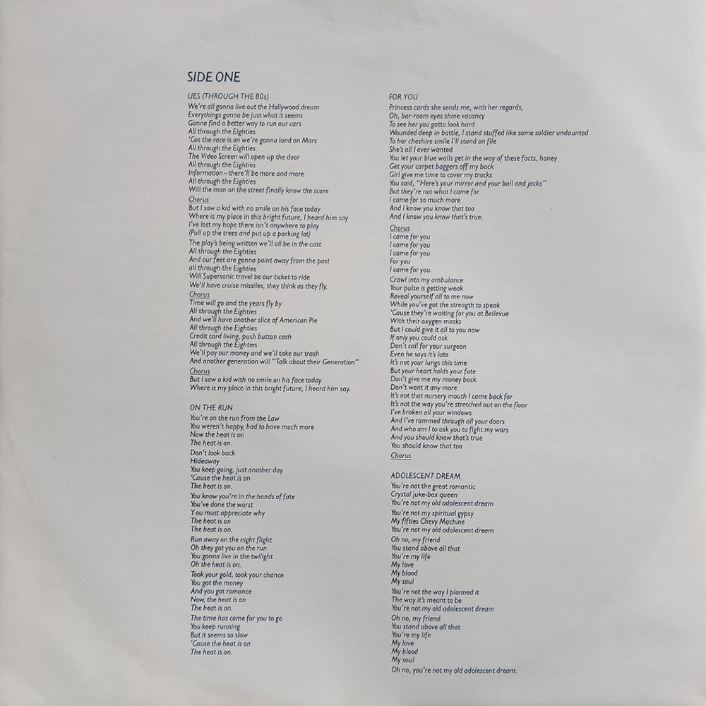 Manfred Mann's Earth Band / Chance (LP)