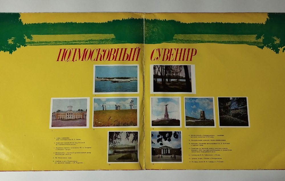 Винтажная виниловая пластинка LP Сборник Подмосковный Сувенир (СССР 1978) (Голубые Гитары, Анофриев, Ротару, Анна Герман)