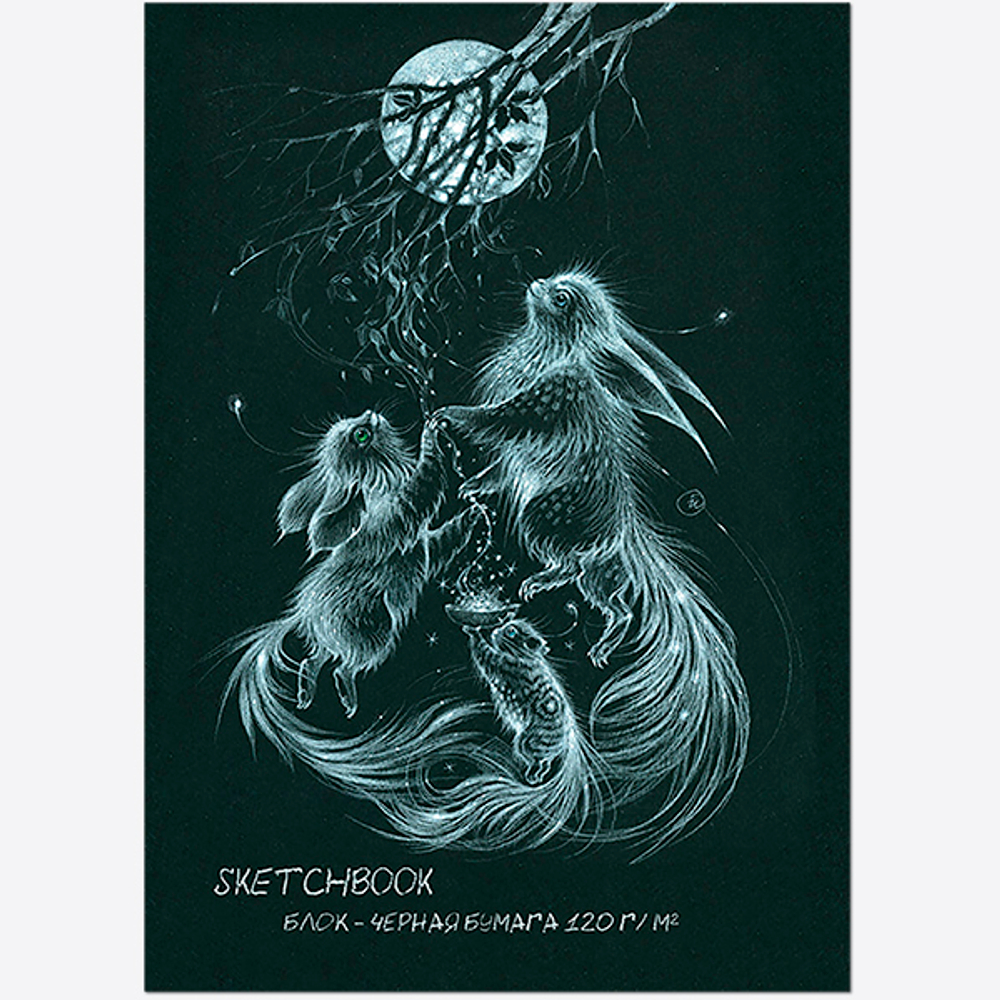 Блокнот-скетчбук SKETCHBOOK BLACK А4 на скрепке