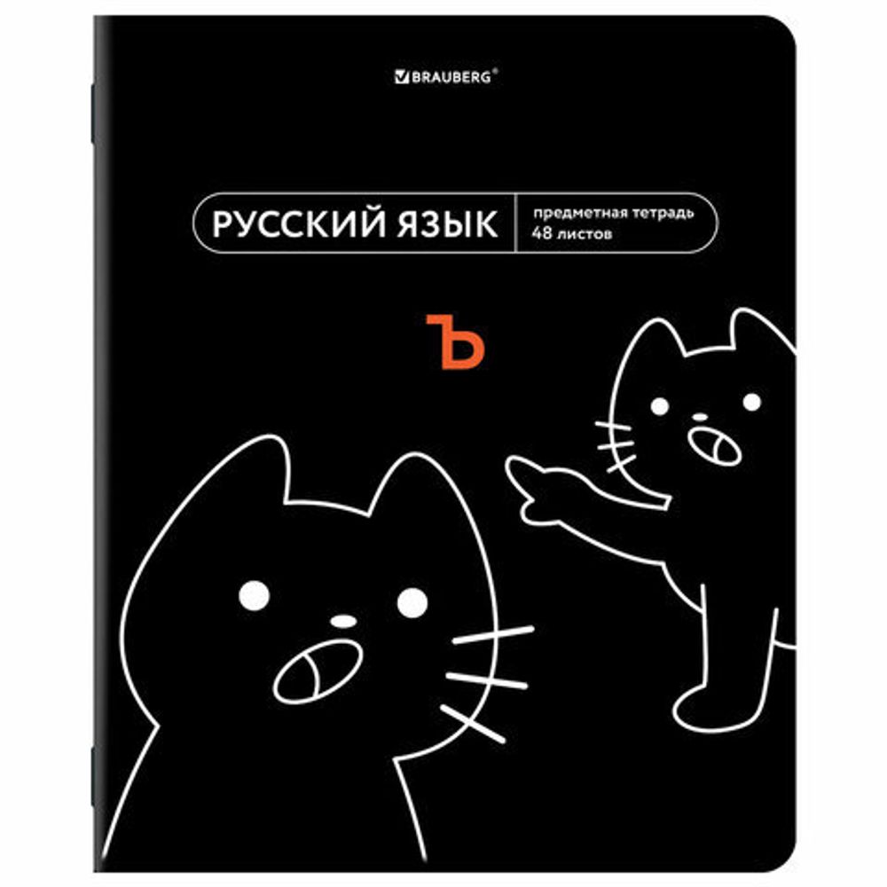 Тетради предметные, КОМПЛЕКТ 12 ПРЕДМЕТОВ, 48 л., TWIN лак, BRAUBERG "МЕМЫ", 405172