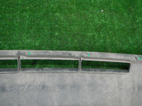 DSCN6305.JPG