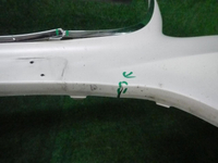 DSCN0927.JPG
