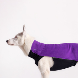 Флисовая кофта DOGLEA СПОРТ КОМФОРТ