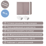 Умный беспроводной выключатель GRITT Practic 2кл. розовое золото комплект: 1 выкл. IP67, 2 реле 1000Вт 433 + WiFi с управлением со смартфона, A181202RGWF
