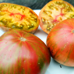 Помидоры Мятные Пёстрые Лилипуты - Dwarf Peppermint Stripes Tomato