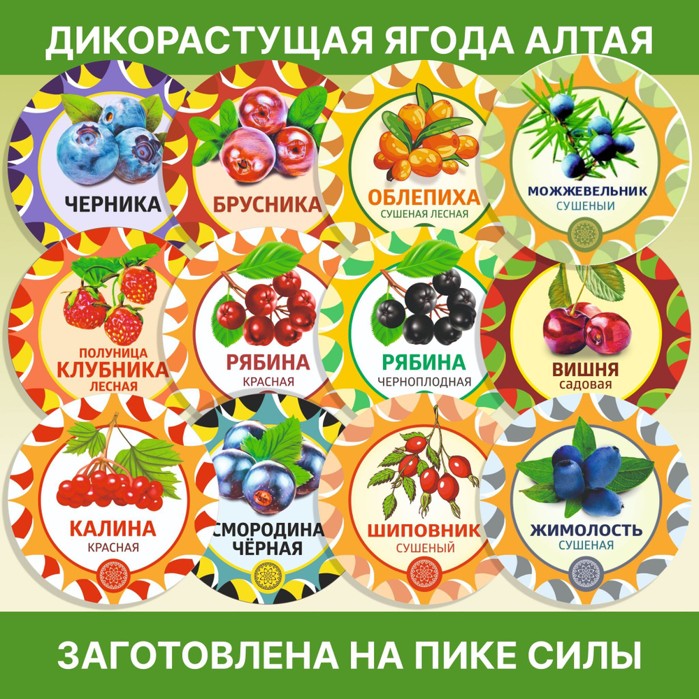 Полынь степная пучок, 2 шт.